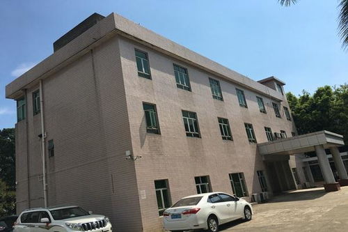 今日新聞 技術精湛，專業護航——聚焦十堰、襄陽、宜昌三地房屋建筑檢測與鑒定